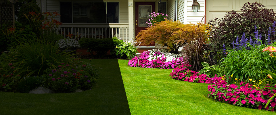 Ninety Six Landscapers