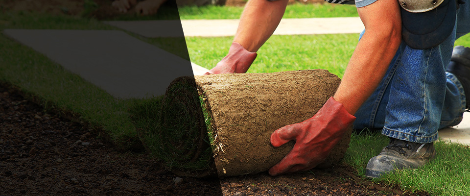 Ninety Six Landscapers